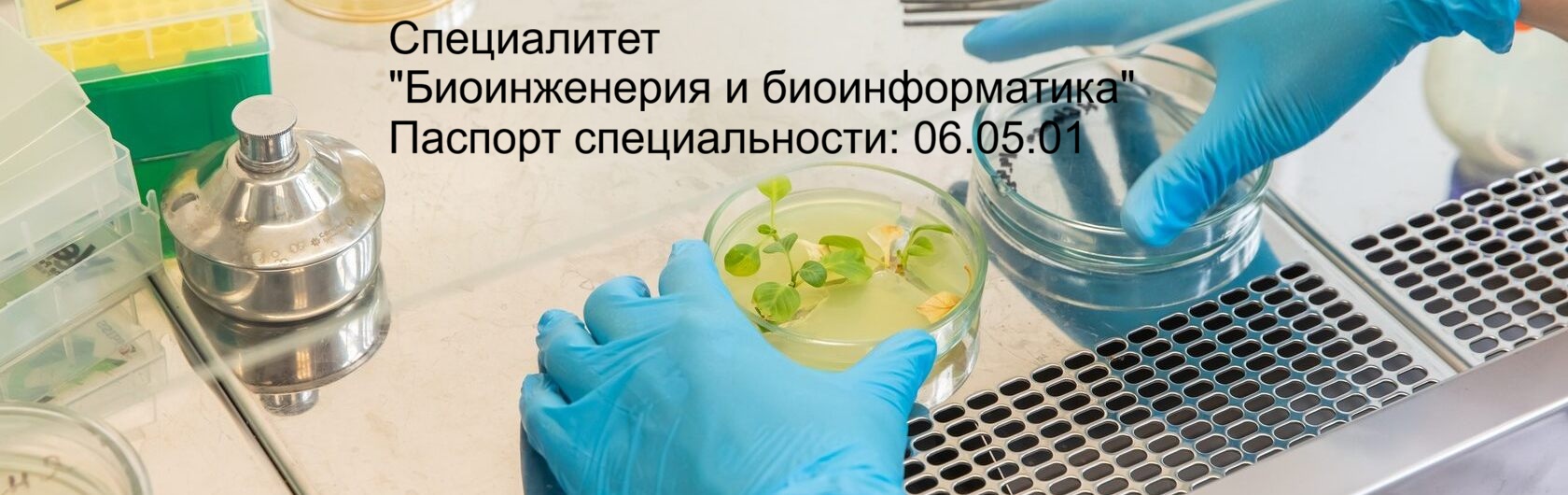 Специалитет 